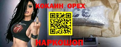 молекула духа Будённовск