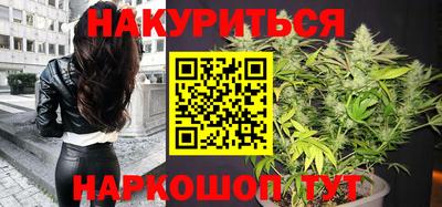 молекула духа Будённовск
