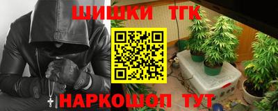 молекула духа Будённовск