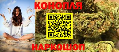 молекула духа Будённовск