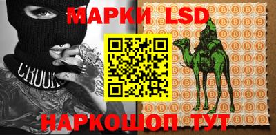 молекула духа Будённовск