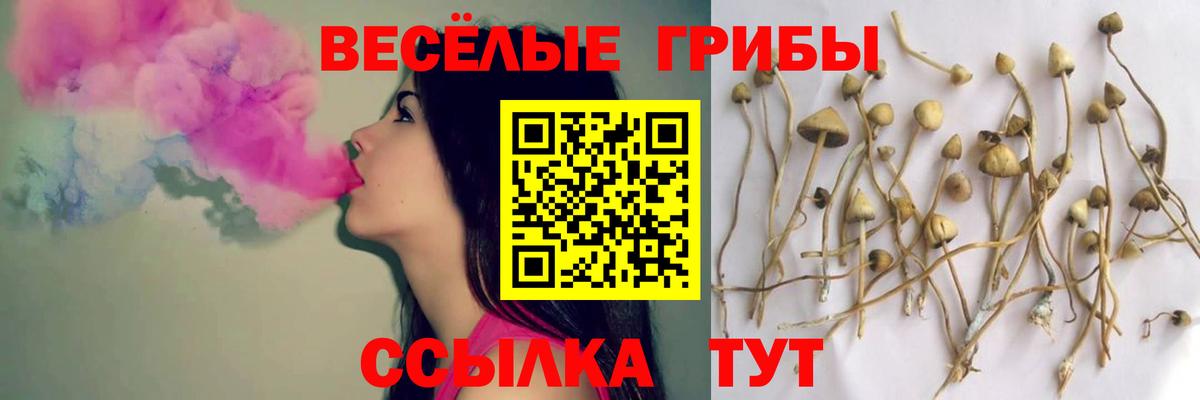 Псилоцибиновые грибы GOLDEN TEACHER Ачхой-Мартан